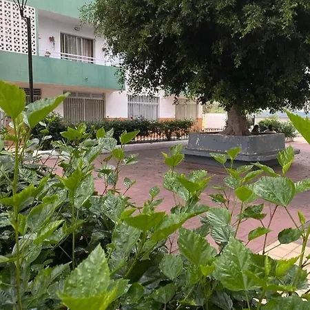 Detail Aqua * Puerto de la Cruz (Tenerife)