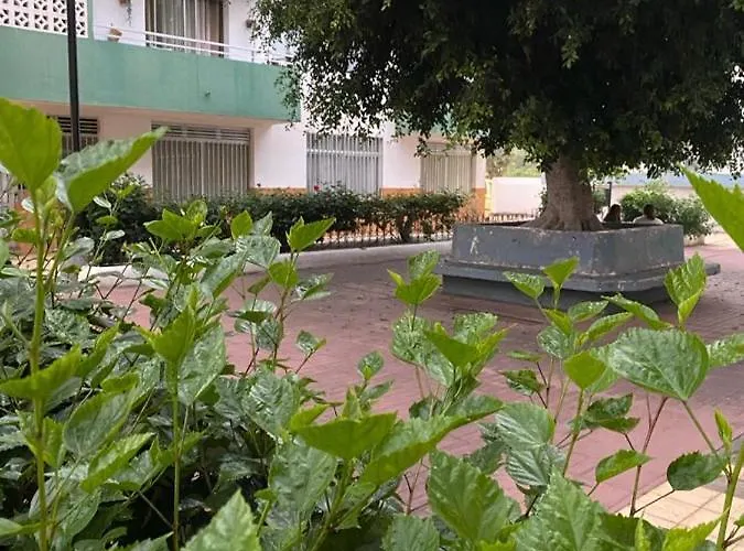 Detail Aqua * Puerto de la Cruz (Tenerife)